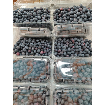 Mirtilo - Cuvete 500 grs
