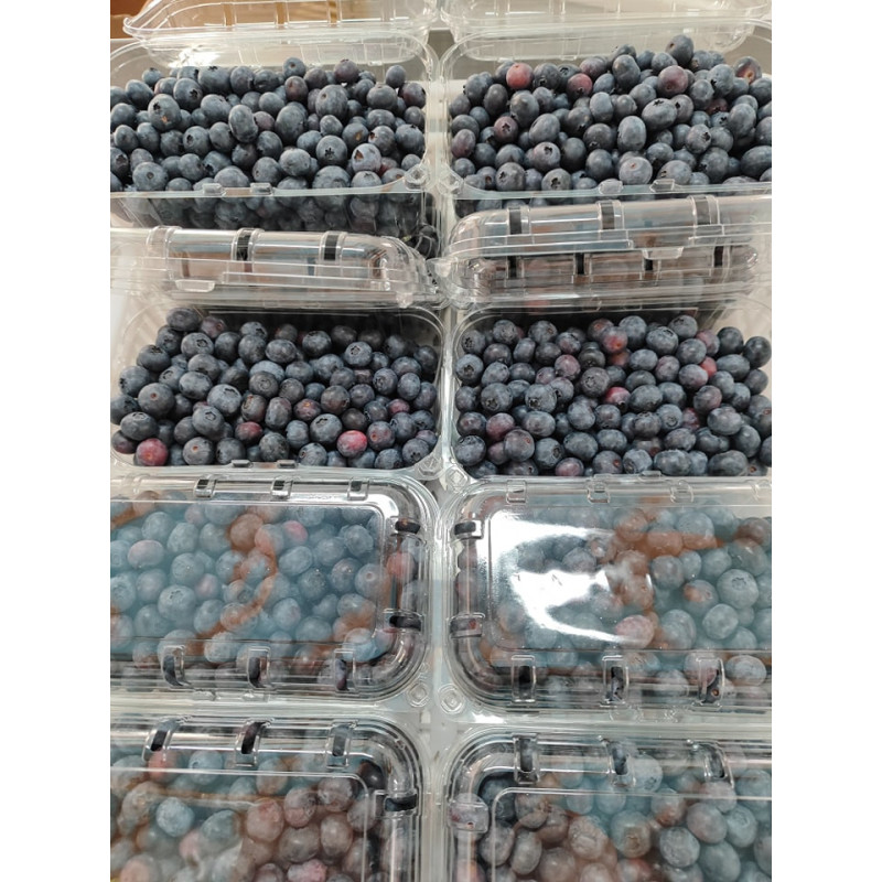 Mirtilo - Cuvete 500 grs