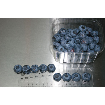 Mirtilo - Cuvete 250 grs